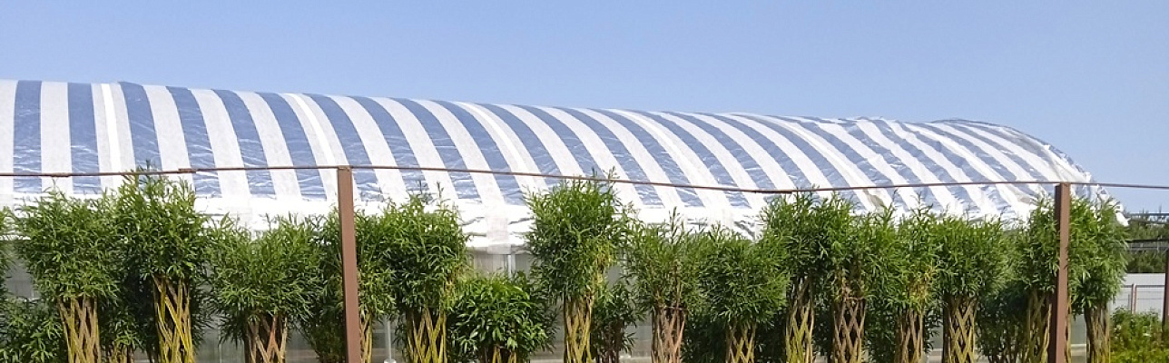 Немного окунемся в историю на тему плетения из ивовых прутьев!